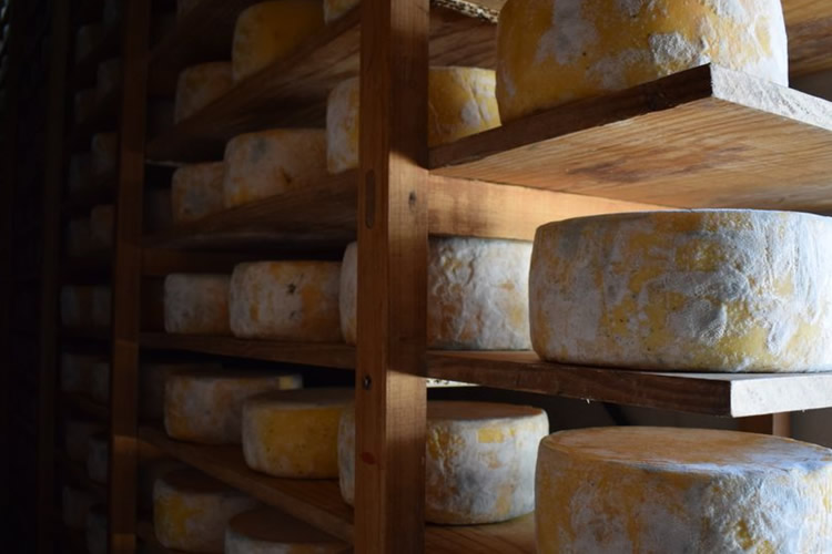 Un año récord para la exportación de productos lácteos en Uruguay: casi mil millones