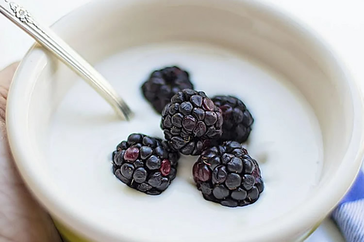 Un doctor de Harvard indica qué efectos produce el consumo de yogures a largo plazo en nuestro cuerpo