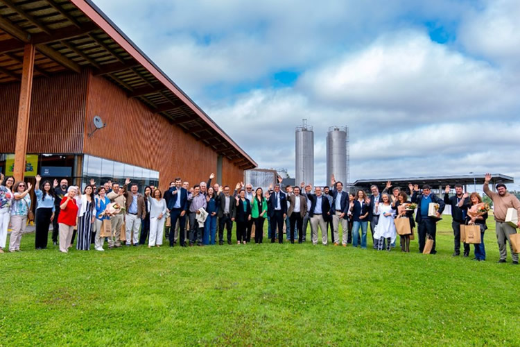 Más del 80% de la leche que recibe Nestlé en Chile cuenta con prácticas de agricultura regenerativa