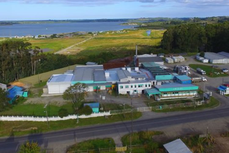 Productores lecheros reportan millonarias deudas de Chilolac