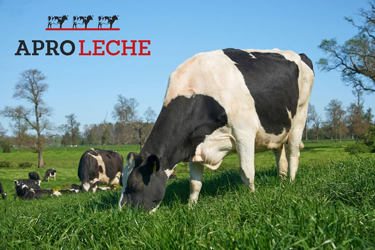 Aproleche Osorno estrena su nueva imagen de marca