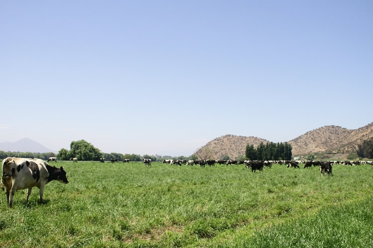 Mundo agrícola prevé que alza 'podría trasladarse al precio de los alimentos'