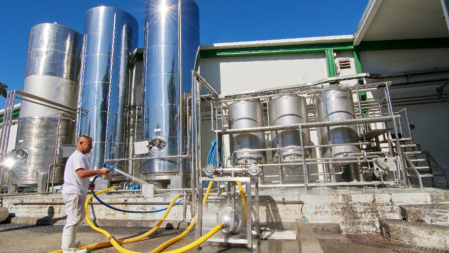 Ranking de la industria láctea nacional muestra diferencias entre empresas del sector 