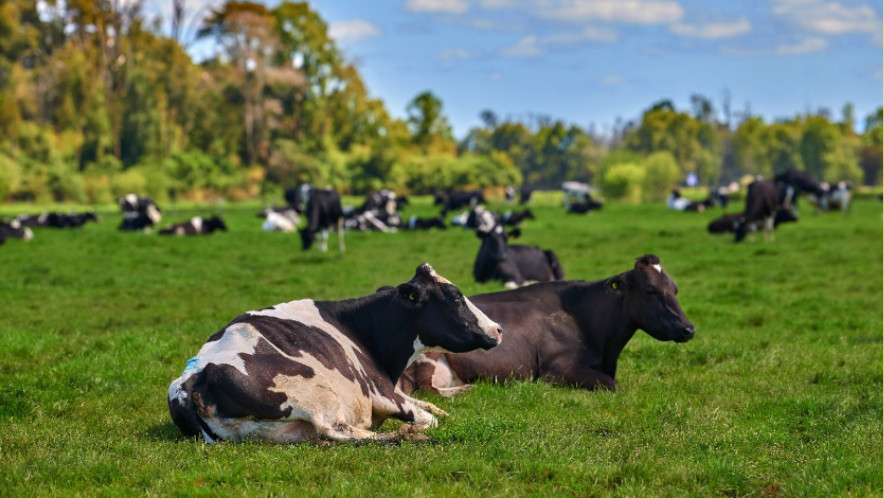 Opinión| El agro: un sector estratégico que Chile aún no reconoce