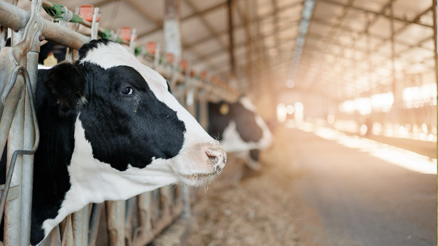 Evolución de la producción mundial de leche, primer bimestre de 2026