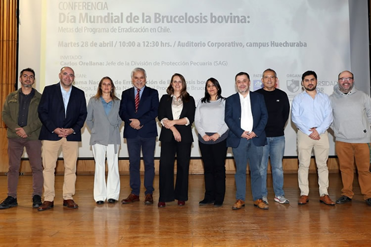 Universidad Mayor y SAG refuerzan alianza para avanzar en la erradicación de la brucelosis bovina