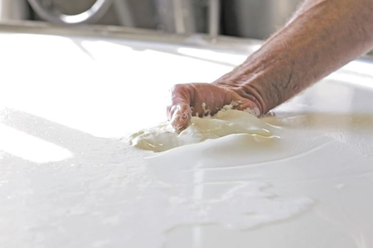 Fuerte crecimiento de las exportaciones lácteas en 2026, con la leche en polvo como motor