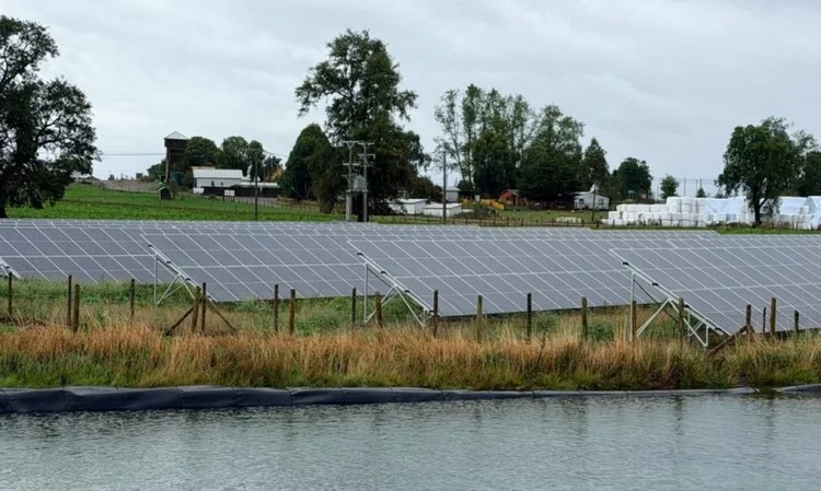 Un tercio de las lecherías certificadas opera ya con energías renovables en Chile
