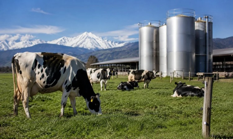 Fedeleche analiza los desafíos y oportunidades en la producción de leche