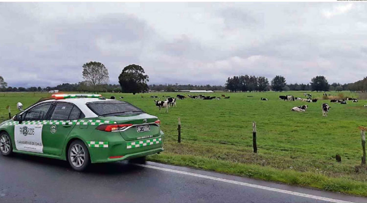 Los Ríos: Encuesta revela que delitos rurales han afectado a 52,4% de agricultores