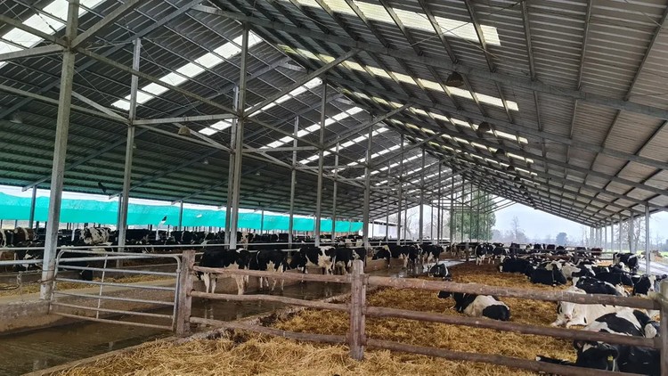 Fedeleche pide priorizar a las pymes del agro en proyecto de Ley de Reconstrucción Nacional