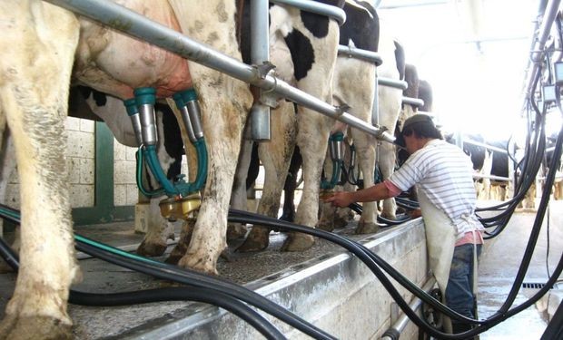 Argentina: La lechería desafía la crisis: proyectan un fuerte aumento de la producción