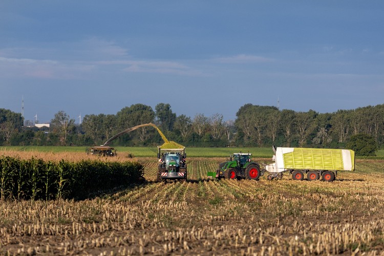 Opinión | “Un daño gratuito a la agricultura chilena” ✍️