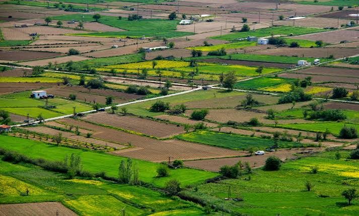Saval aborda los efectos de las parcelas de agrado en la producción agrícola