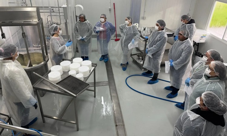 INIA Remehue capacitó a docentes de la Región de Los Lagos y Los Ríos en elaboración de quesos suaves