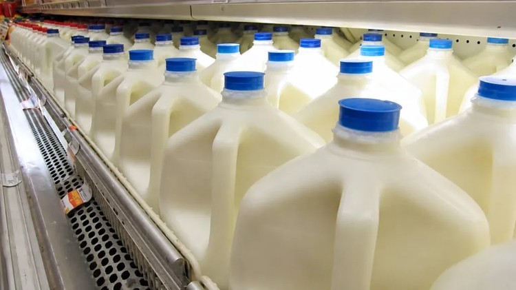 El sector lácteo encuentra valor en la proteína
