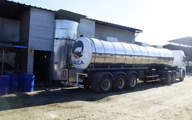 Ranking de la industria láctea: cooperativas y grandes industrias sostienen crecimiento de la recepción de leche