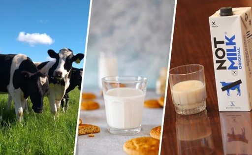 Caída de bebidas vegetales: Lecheros celebran giro y apuntan a un consumidor "cada vez más informado"