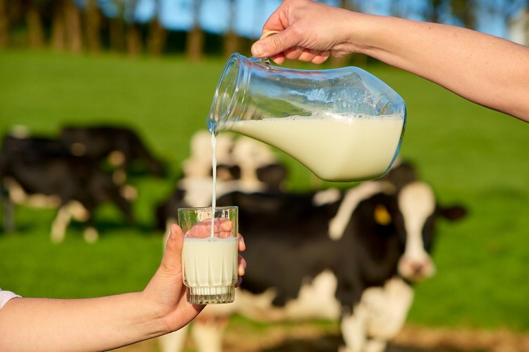 Leche vuelve a ganar protagonismo: Fedeleche destaca cambio en consumo