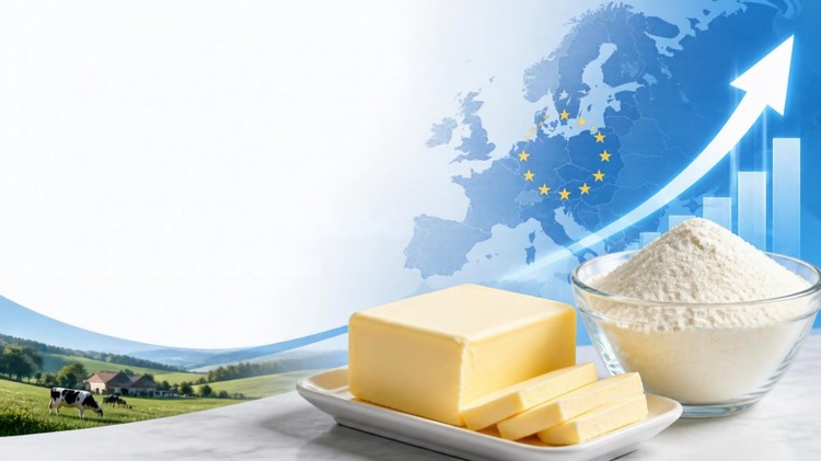 Mercado lácteo europeo: mantequilla y leche entera en polvo continúan al alza