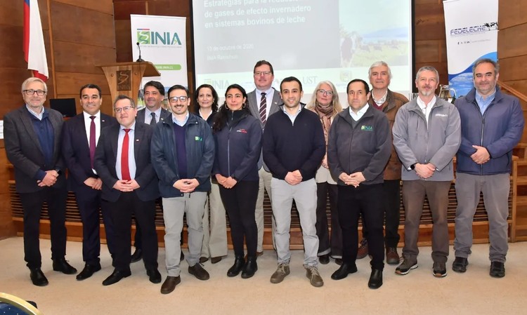 Trabajo colaborativo entre INIA Remehue, Universidades y Fedeleche logró reducción en la emisión de gas metano