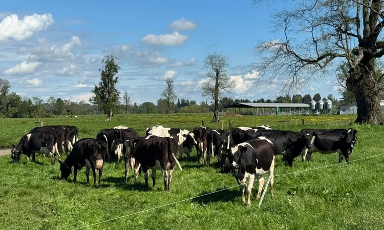 INIA inicia proyecto para desarrollar CARBON CERO, herramienta que medirá el balance de carbono