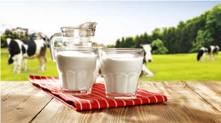 El papel de los lácteos en el sistema alimentario mundial 