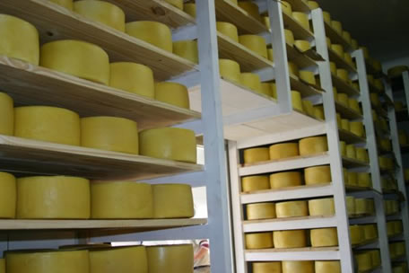 Ranking de exportadores de queso de Latinoamérica