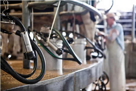 Producción mundial de leche sube 0,81% hasta abril 