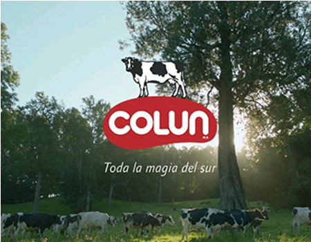 colun03.jpg