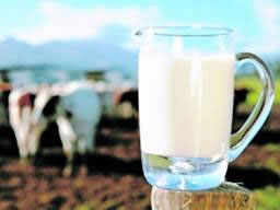 ¿Cómo se desarrollarán los mercados lácteos en 2020?