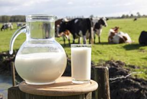 ¿Vale la pena producir leche orgánica?