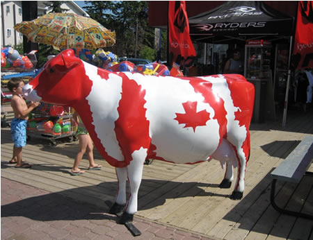Granjas lecheras canadienses adaptan a la nueva demanda 