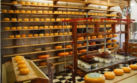 Evolución del comercio exterior de quesos chilenos