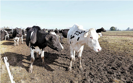 Es la hora del balance en el sector agrícola 