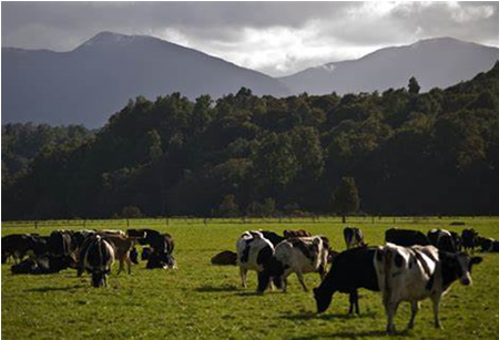 Panorámica de la producción en el Hemisferio sur 