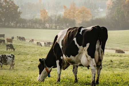 Productores esperan que decreto de Emergencia Agrícola agilice la ayuda 