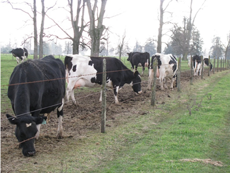 Repaso situación productiva mayo de 2020