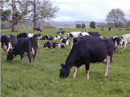 Las emisiones de carbono y su importancia para el sector 