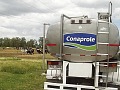 Uruguay: Conaprole es seleccionada como finalista en los IDF Dairy Innovation Awards 2025