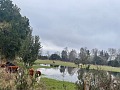 Las intensas lluvias saturan las praderas y retrasan la fertilización